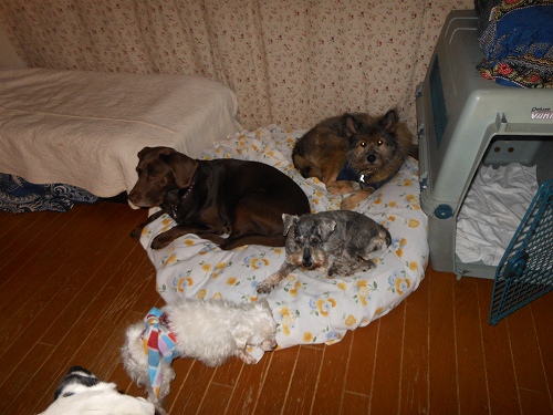 DSCN2249.jpg