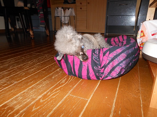 DSCN2250.jpg