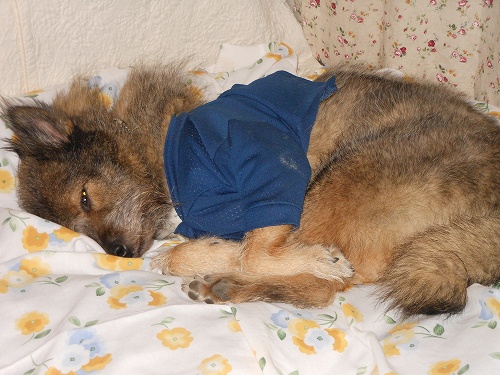 DSCN2252.jpg