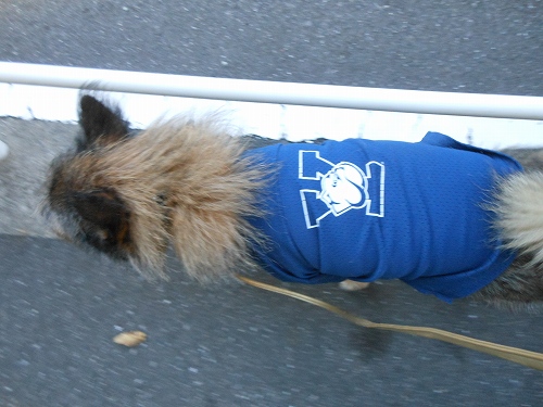 DSCN2256.jpg