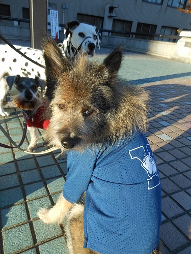 DSCN2268.jpg