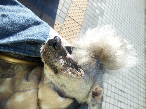DSCN2299.jpg