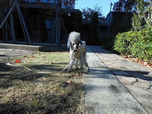 DSCN2301.jpg