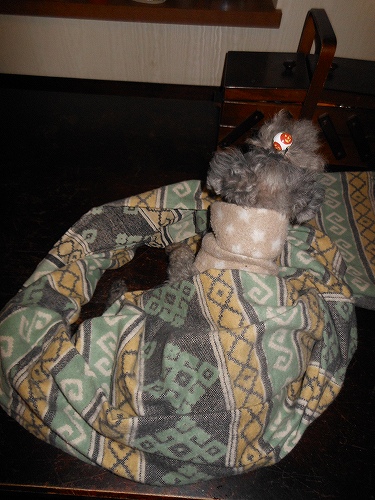 DSCN2425.jpg