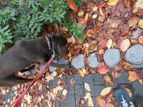 DSCN2438.jpg