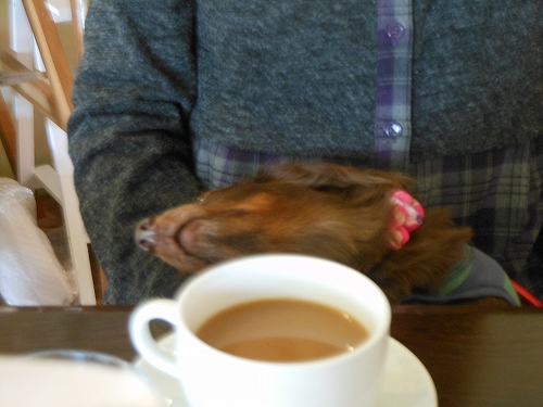 DSCN2456.jpg
