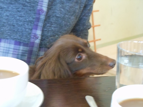 DSCN2458.jpg