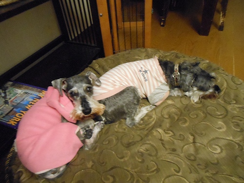 DSCN2479.jpg