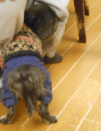 DSCN2484_20121126231614.jpg