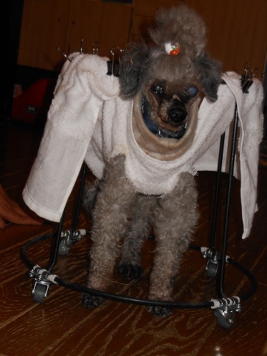 DSCN2487.jpg
