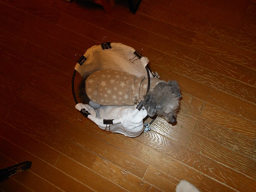 DSCN2488.jpg