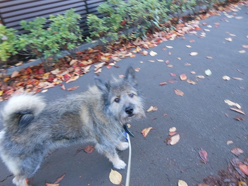 DSCN2506.jpg