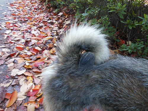 DSCN2508.jpg