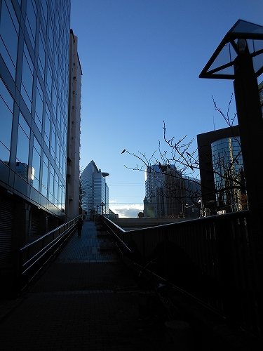 DSCN2511.jpg