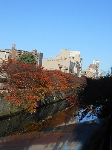 DSCN2514.jpg