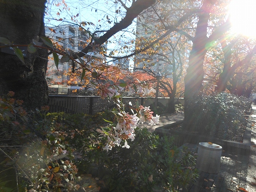 DSCN2531.jpg