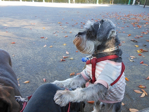 DSCN2555.jpg