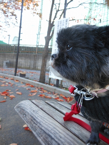 DSCN2560.jpg
