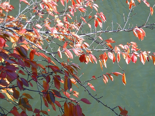 DSCN2564.jpg