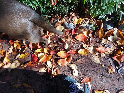 DSCN2580.jpg