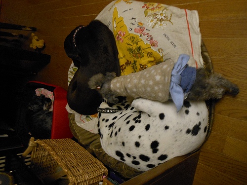 DSCN2589.jpg