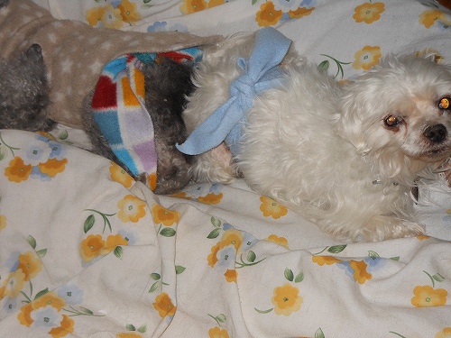 DSCN2596.jpg