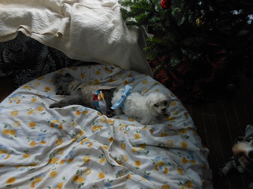 DSCN2597.jpg