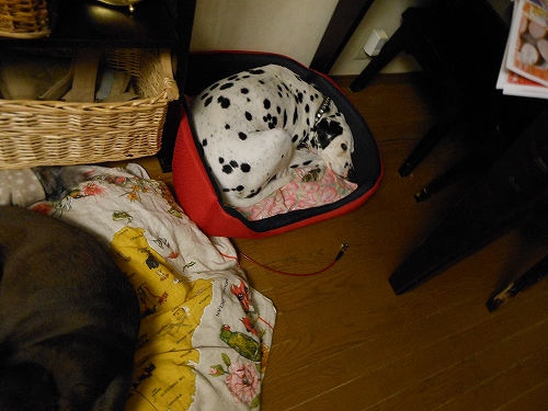 DSCN2600.jpg
