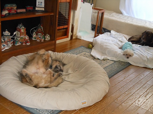 DSCN2624.jpg