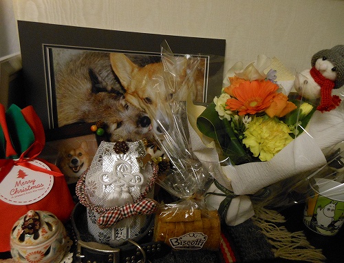 DSCN2649.jpg