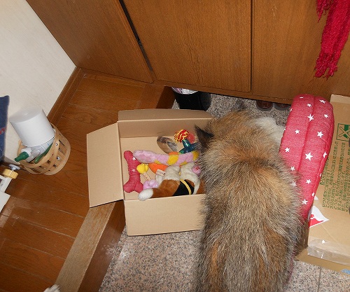 DSCN2651.jpg
