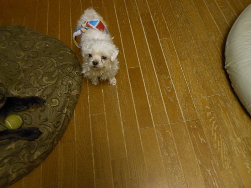 DSCN2722.jpg