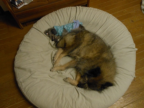 DSCN2725.jpg