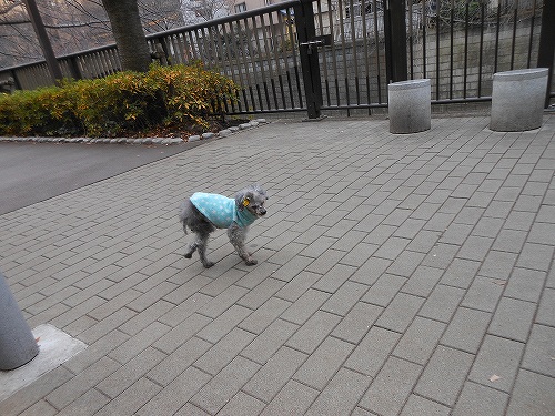 DSCN2776.jpg