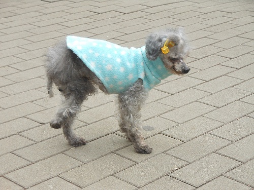 DSCN2785.jpg