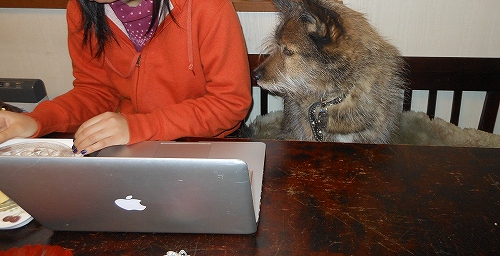 DSCN2943.jpg