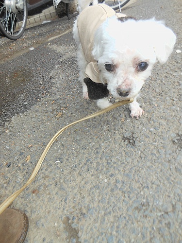 DSCN2978.jpg