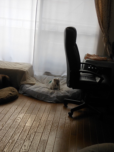 DSCN2986.jpg
