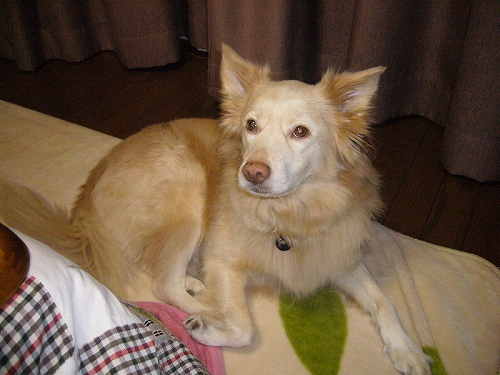 P1020435.jpg