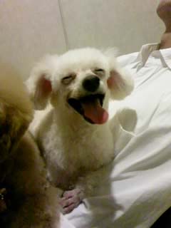 untitled_20121227131739.jpg