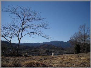 20130101a.jpg
