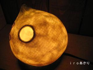 5371_convert_20130218102215.jpg