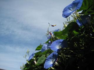 IMG_4221_convert_20121014123945.jpg