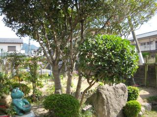 IMG_4226_convert_20121014123903.jpg