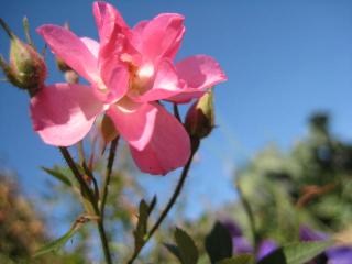 IMG_5040_convert_20130115152416.jpg