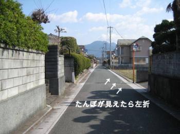 IMG_5747_convert_20130320232244.jpg