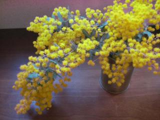 IMG_5828_convert_20130317201519.jpg