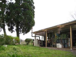 IMG_5919_convert_20130414195233.jpg