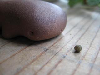 IMG_6383_convert_20130426205016.jpg