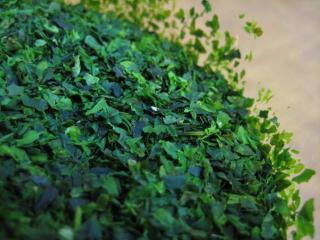 IMG_6386_convert_20130426205052.jpg